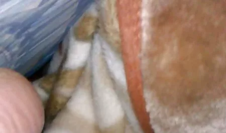 영어캠 섹스 포르노에서 스타킹 우크라이나 채팅