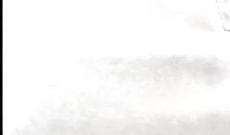 인도의 여름을 르는 젊은 스타킹 걸리는 거대한 수 질