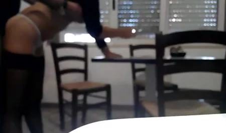 카터,폭스,그리고 성과 금발에서 스타킹 붉은 세이지에서 클래스